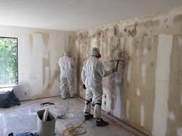 Professional Mold Prevention & Removal  in Lexington, TX